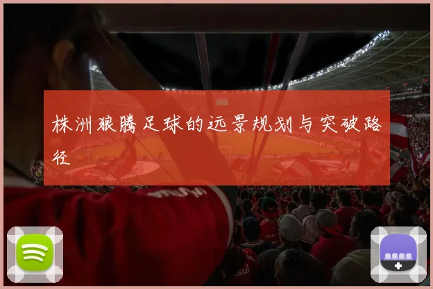 株洲狼腾足球的远景规划与突破路径