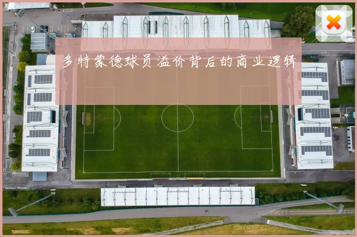多特蒙德球员溢价背后的商业逻辑
