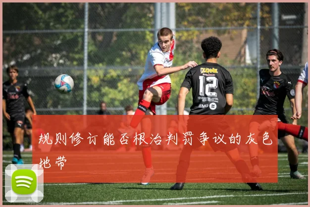 规则修订能否根治判罚争议的灰色地带