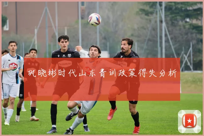 巩晓彬时代山东青训政策得失分析