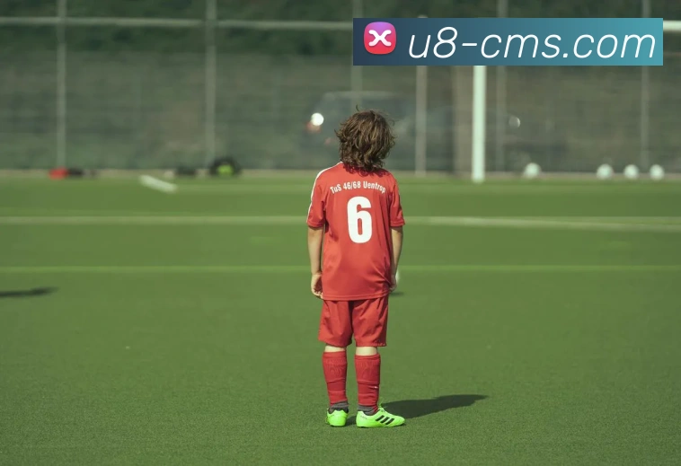 多媒体互动体验